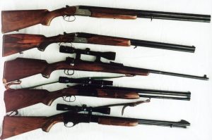 hunting rifle
