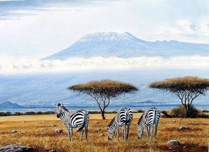 Amboseli Kenya