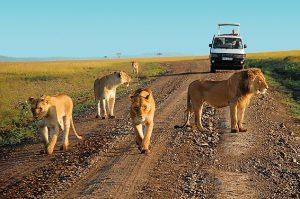 Tsavo Kenya