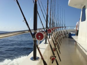 boat fishing rod